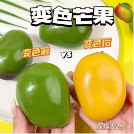 Mango TPR Squishy Toy